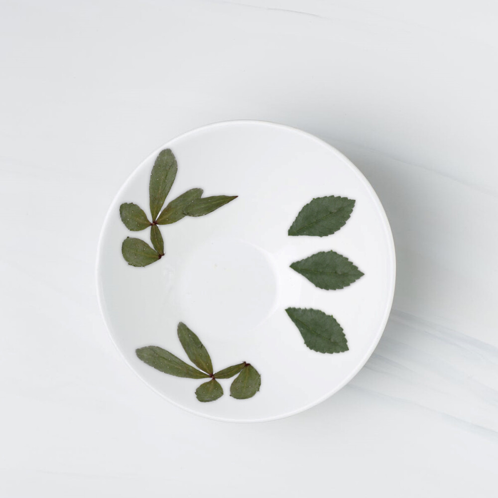 Dry Flowers Pressed Flowers Resin Dried Flowers Resin Jewelry eBay