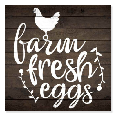Farm Fresh Eggs Rustic Looking Inspiration Farmhouse Wood Sign B3-12120061032