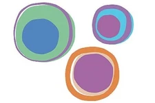 Hot Dots Wallies Murals