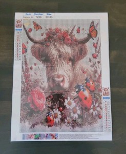 30x40 Diamond Painting Kit: T256