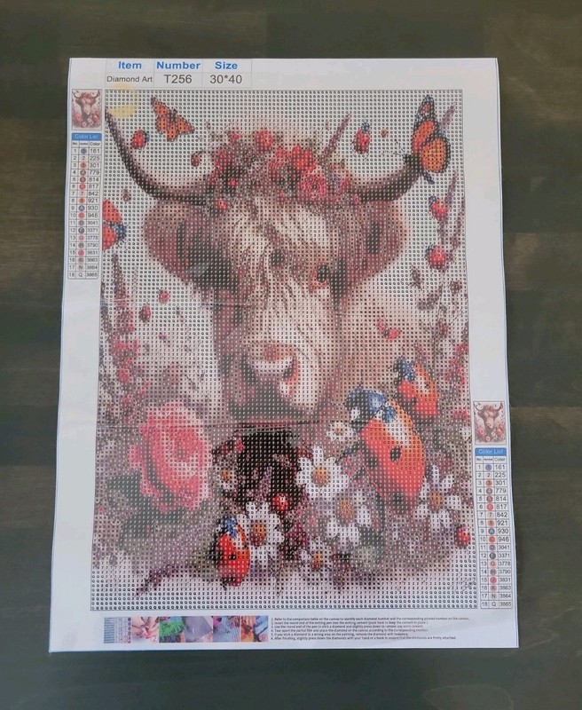 30x40 Diamond Painting Kit: T256