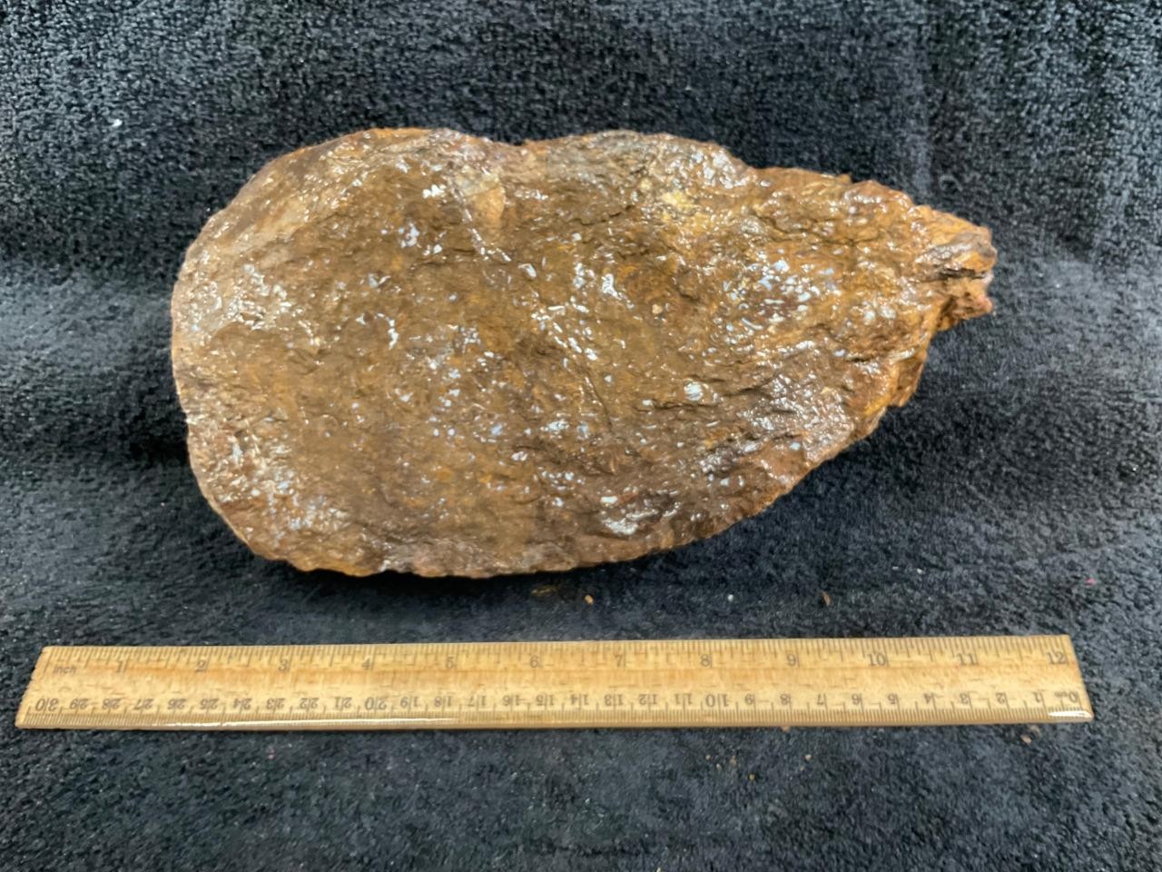 Picture 5 of 7