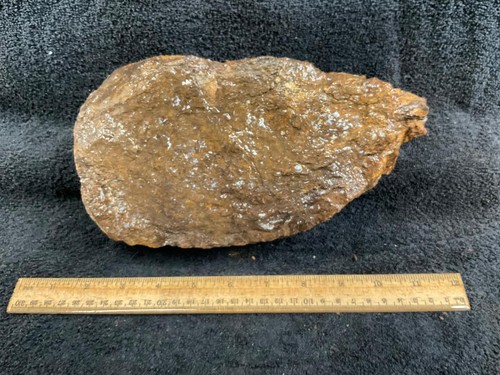 Z~ Paleo Osmunda Faced Rough Petrified Fern fr Australia 7 lbs - Picture 5 of 7
