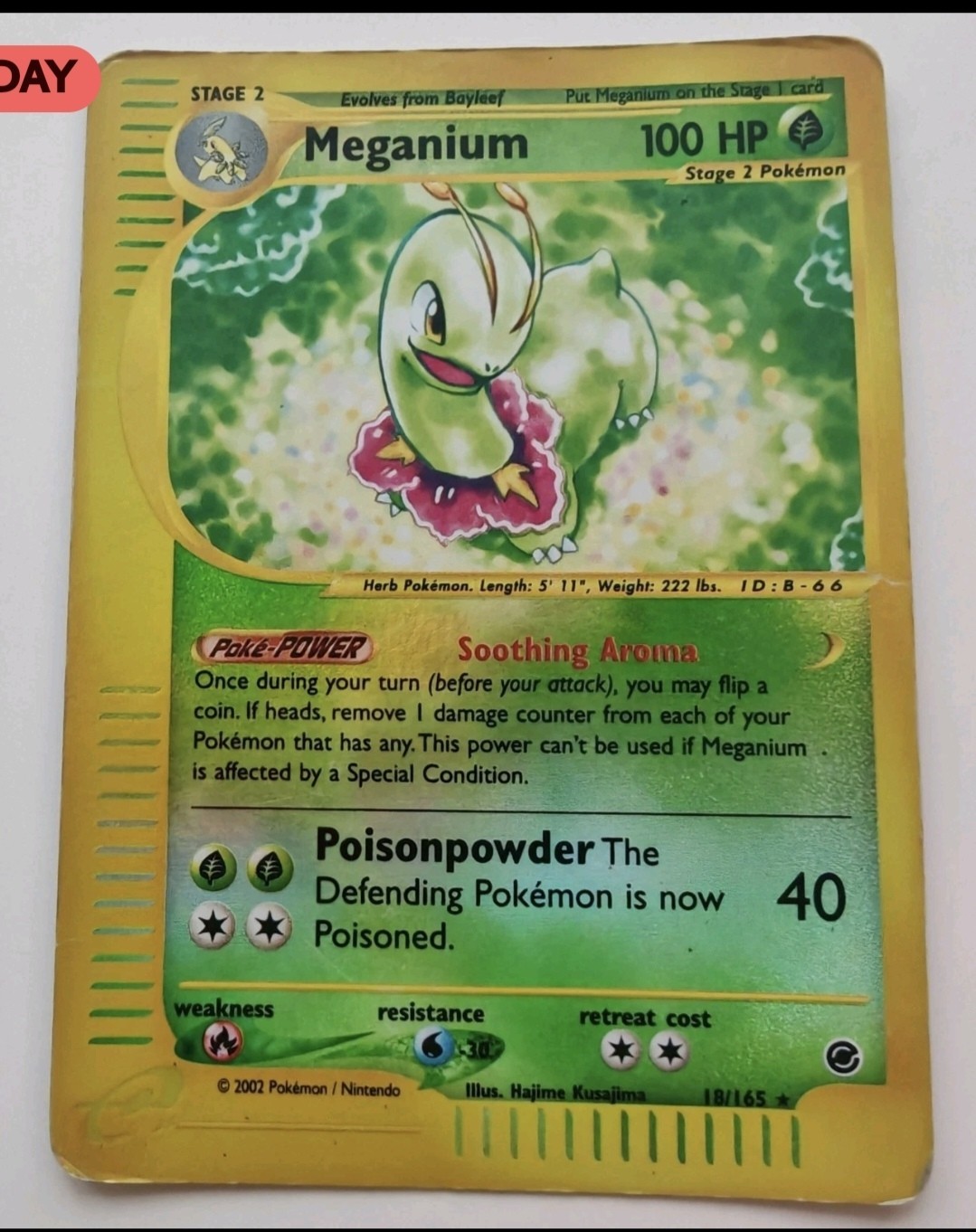 19 Pokémon Expedition Cards