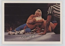 1988 Wonderama NWA Ricky Morton vs Ric Flair #257