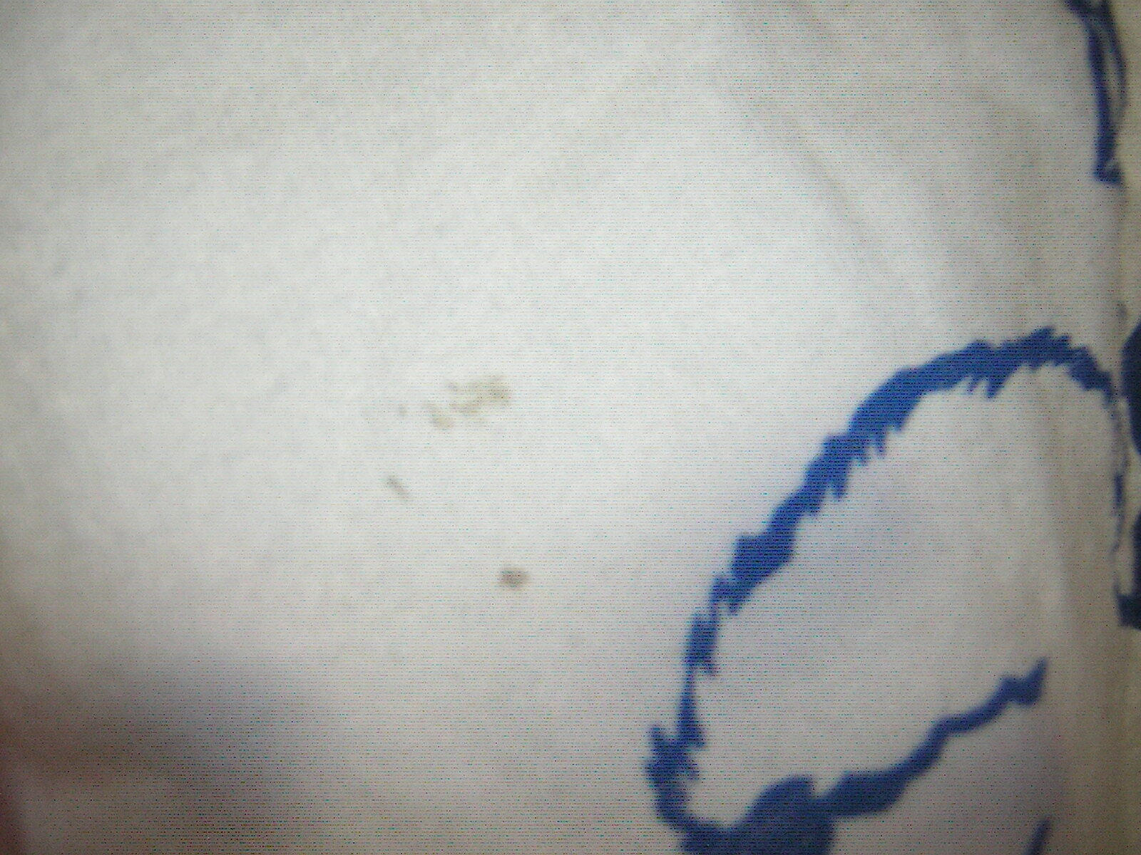 Picture 4 of 6