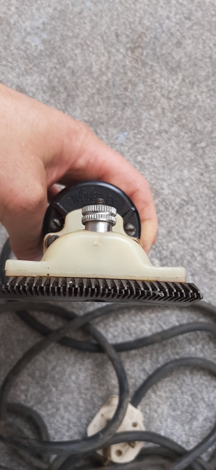 Wolseley horse clippers, 2 blades eBay