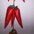 Picture 5 of 8