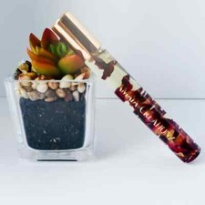 Lip Oil infused with rose petals