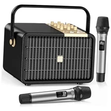 Wireless Voice Amplifier Professional Karaoke Machine with 2 UHF Black