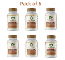 6 Packs X Maharishi Ayurveda PIRANT for Joint and Muscles Pain - 60 Tabs