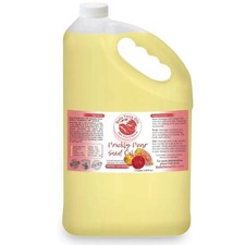 Organic Cold-Pressed Prickly Pear Oil 100 Pure Skin Care Anti-Aging Face