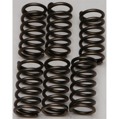 EBC Brakes Clutch Springs CSK159