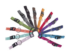 Nobby classic Hundehalsband xxs xs S für kleine Hunde und Welpen