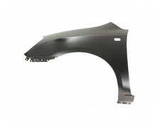 Kotflügel Set Links u. Rechts für KIA Carens III UN 06-13