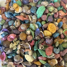 Mini  colorful shells 9 Ounces For Nautical Crafts And Decor