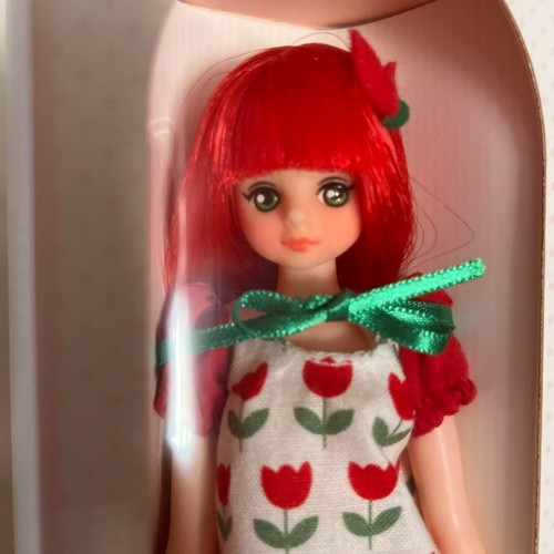 Atomaru doran doran Korean DOLL FIGURE RED tulip Ver kukuclara USED JAPAN FS USD - Picture 2 of 7
