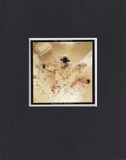 8X10" Matted Print Album Art Picture: The Tourists, Reality Effect