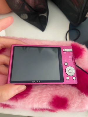 SONY Cyber Shot DSC-W320 Pink Digital Camera 14.1MP 4x Zoom