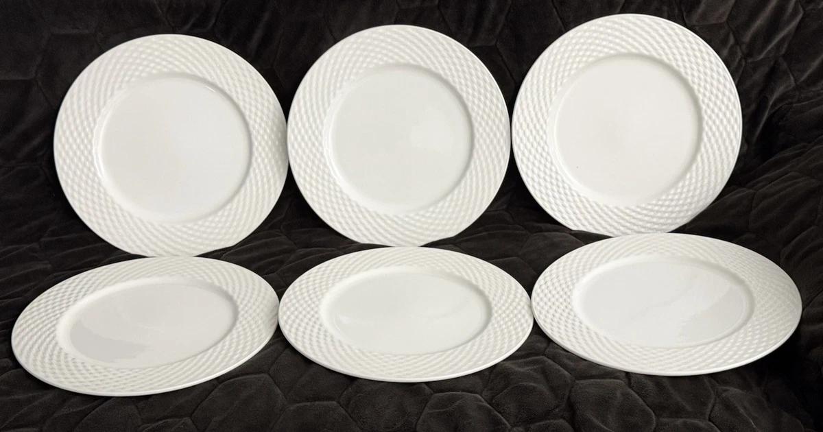 pagnossin treviso products for sale | eBay