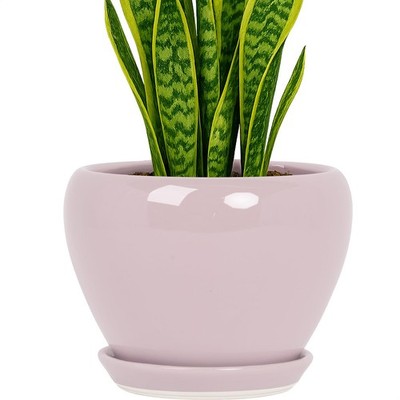 8-Inch Ceramic Plant Pots with Drainage Hole & Saucer for Indoor/Outdoor Use