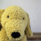Bild 11 von 19