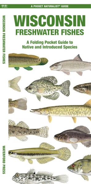 Wisconsin Freshwater Fishes | Matthew Morris | Englisch | BroschüRe | 2024-image