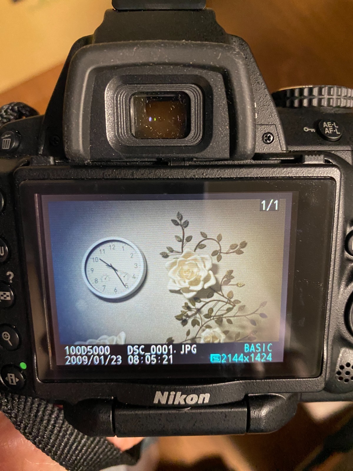 Picture 16 of 19