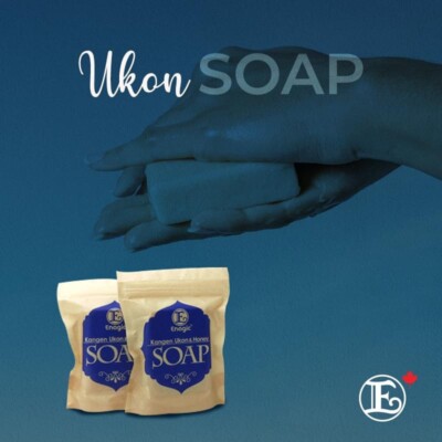Enagic Kangen Ukon & Honey Soap | eBay