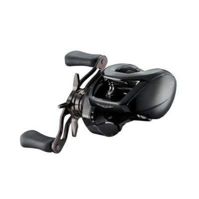 Daiwa 24 STEEZ SV TW 100H Baitcasting Reel | eBay