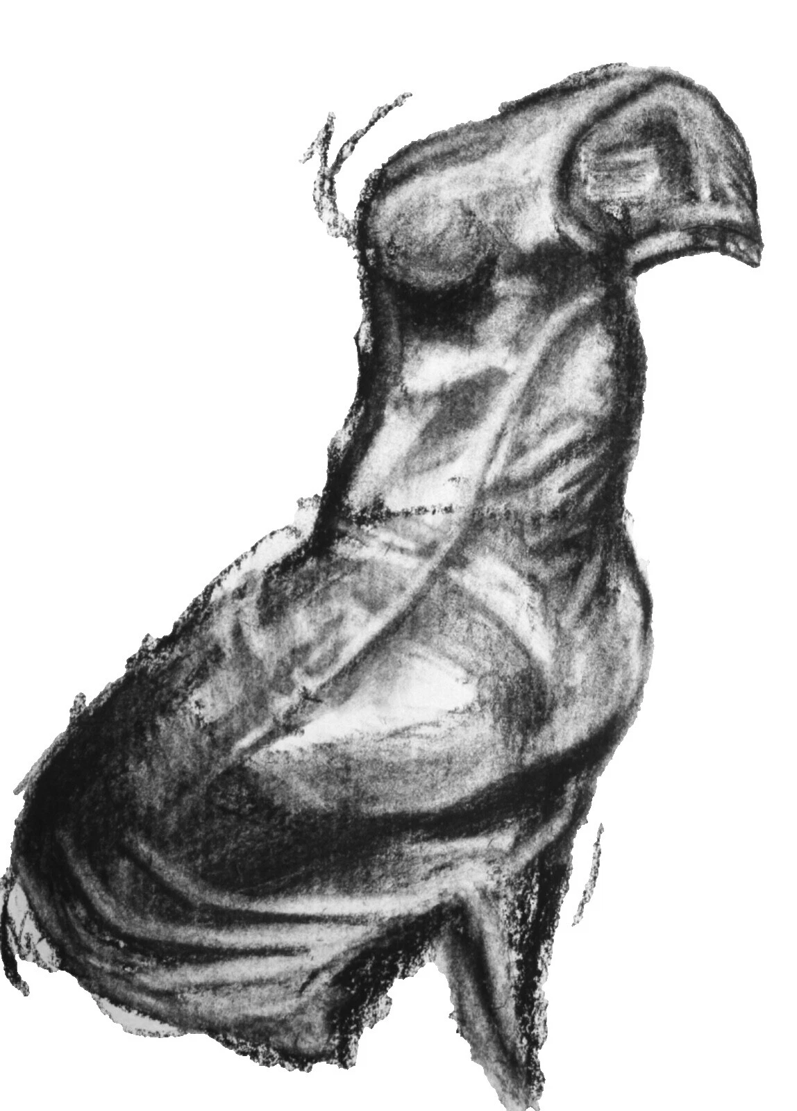 Fashion Art Drawings