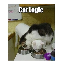 857 - Funny Cat Meme Fridge Refrigerator Magnet