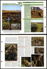 Conserving Peat Bogs #8 Conservation Wildlife Fact File Fold-Out Card