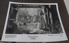 Mia Sara "Legend" Press Release Photograph 8" x 10" Universal — photo 1