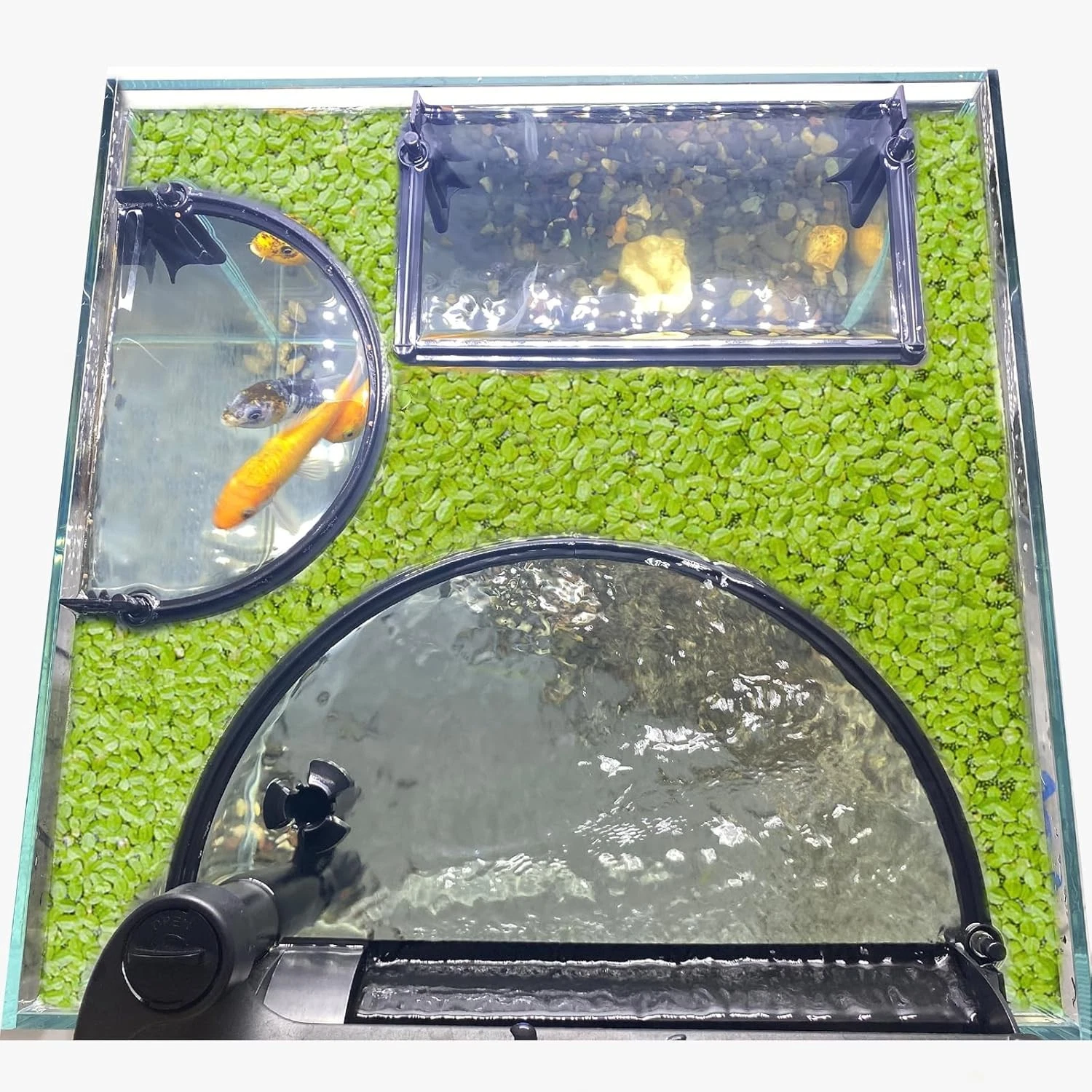 Floating Plant Corral Aquarium Fish Tank Accessories to Separate Floating Plants
Opens in a new wind