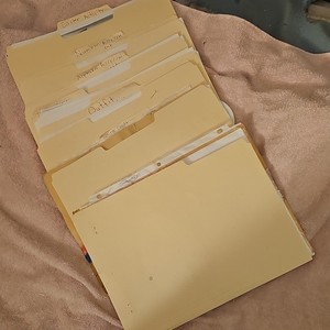Cindy Downes PreK-K Assessment Worksheets File Folders Easter/Halloween