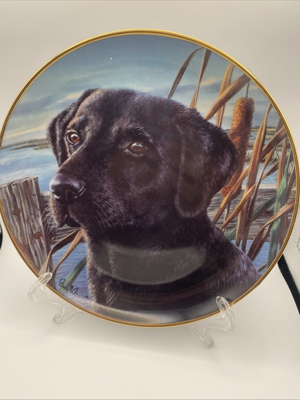 Mans Best Friend Franklin Mint Heirloom Labrador Dog Plate Porcelain Limited