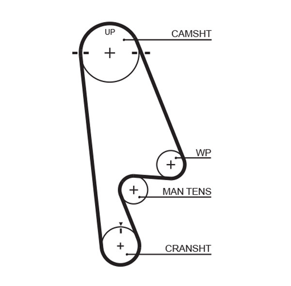 GATES T244RB Timing Belt for HONDA