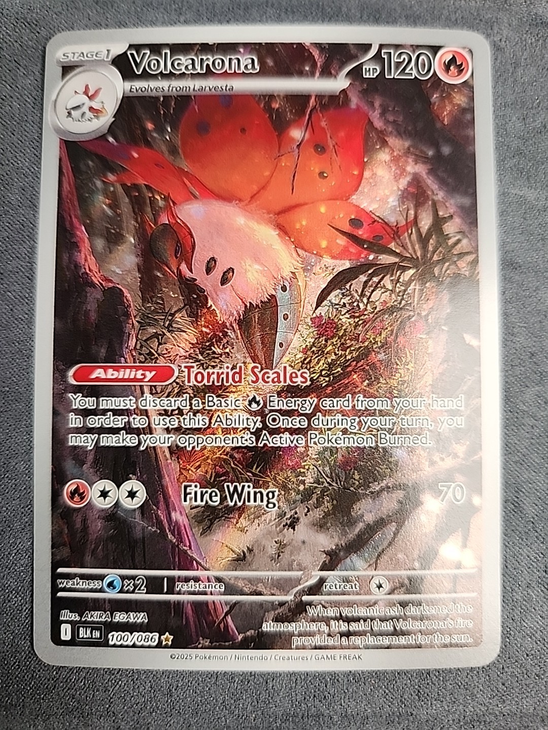 Volcarona 100/086 - Pokemon SV Black Bolt Illustration Rare (NM Pack Fresh)