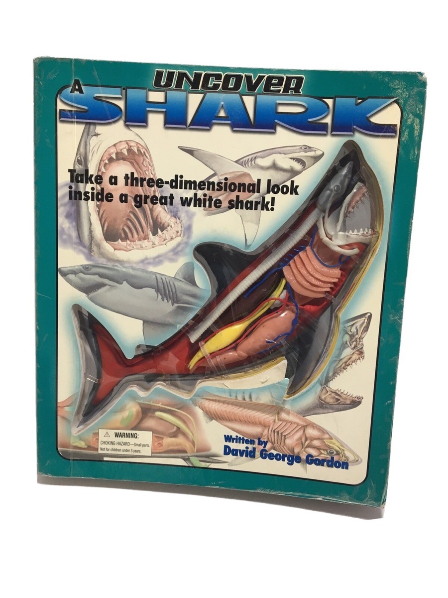 UNCOVER SHARK 3Dモデル UNCOVER A SHARK Detailed Model 3D Three Dimensional Look Board