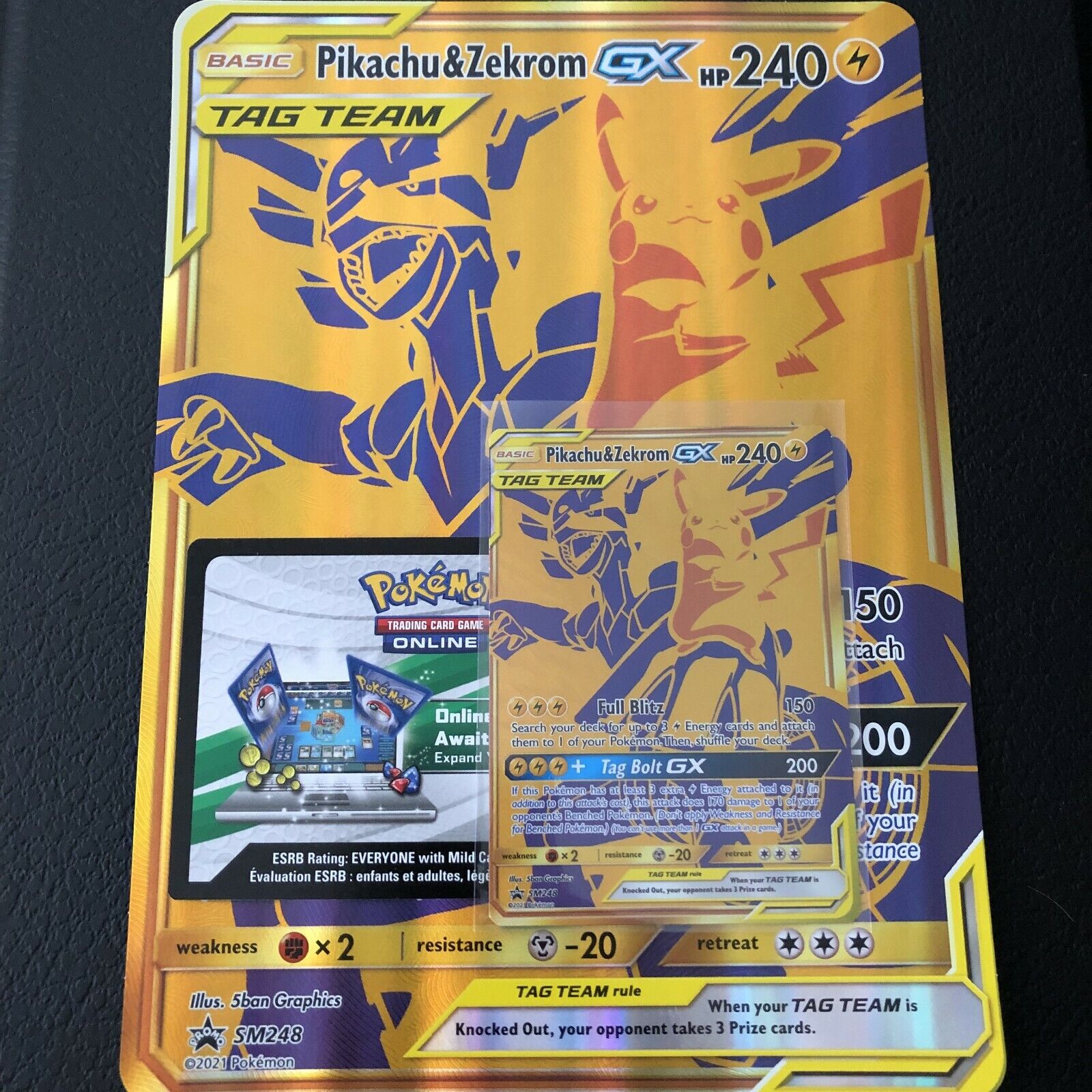 Pokemon Trading Card Game Tag Team Pikachu Zekrom-GX Exclusive Premium  Collection 10 Booster Packs, Gold Foil Card, Oversize Card More Pokemon USA  - ToyWiz