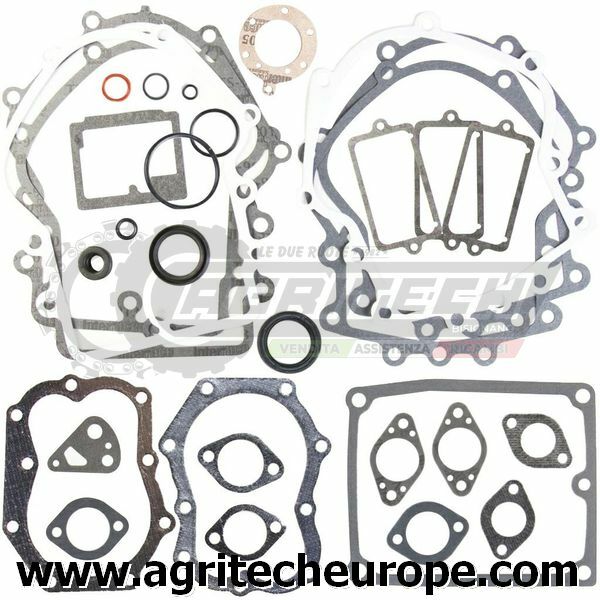 495868 SR GUARNIZIONI BRIGGS & STRATTON BOXER BICILI VERT E ORIZ 400 402 422 42A