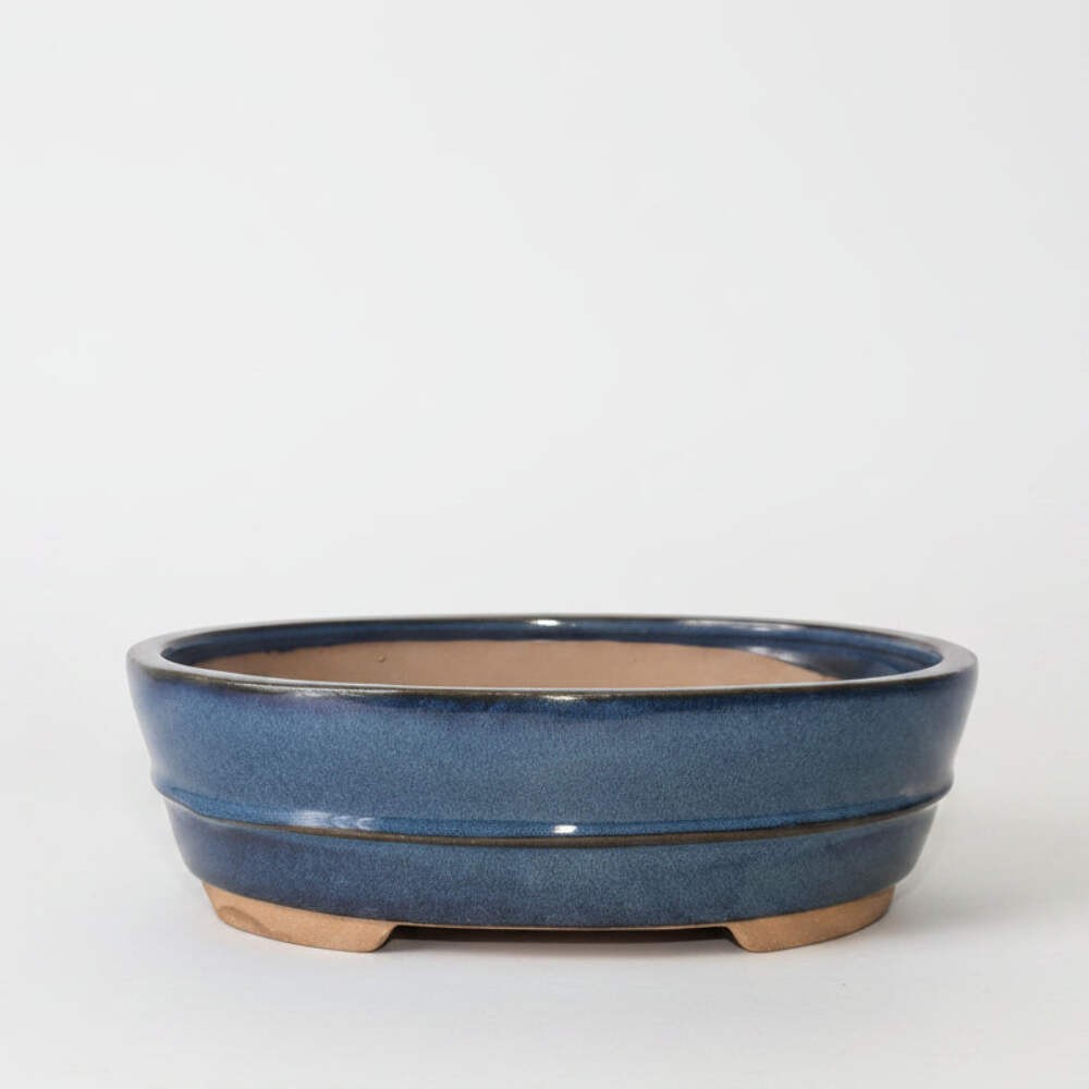 26cm Glazed Bonsai Pot | Oval | 26cm x 20cm x 8cm | Blue