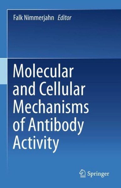 Molecular And Cellular Mechanisms Of Antibody Activity Falk Nimmerjahn-image