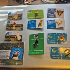 RSPB PIN BADGE 11 x Assorted Badges