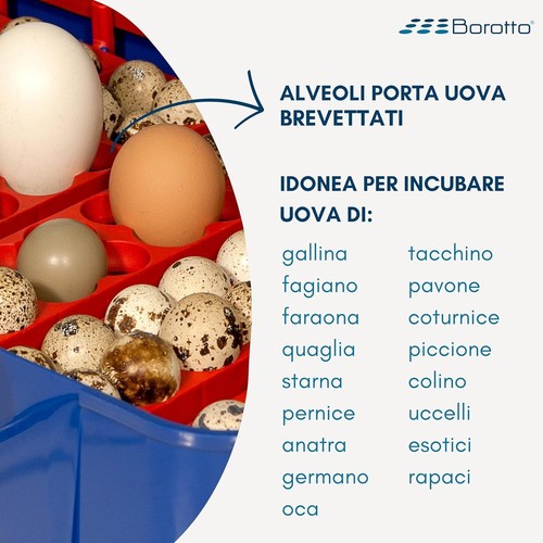 INCUBATRICE SEMIAUTOMATICA REAL 49 BOROTTO 49/196 uova | IN PROMOZIONE 🔝🐣🐓❤️ - Imagen 16 de 24