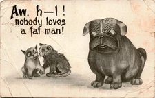 Mi Chas. Parks, Nunda, U.S.POSTAGE, 6459, FAM Postcard