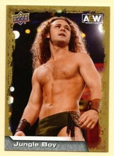 2022 Upper Deck AEW Jungle Boy #20 Gold Parallel wrestling card