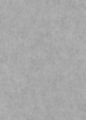 Erismann Vliestapete Elysium grau 1047310