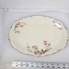 Homer Laughlin "Virginia Rose" Platter USA  Floral 13” long Holiday Thanksgiving